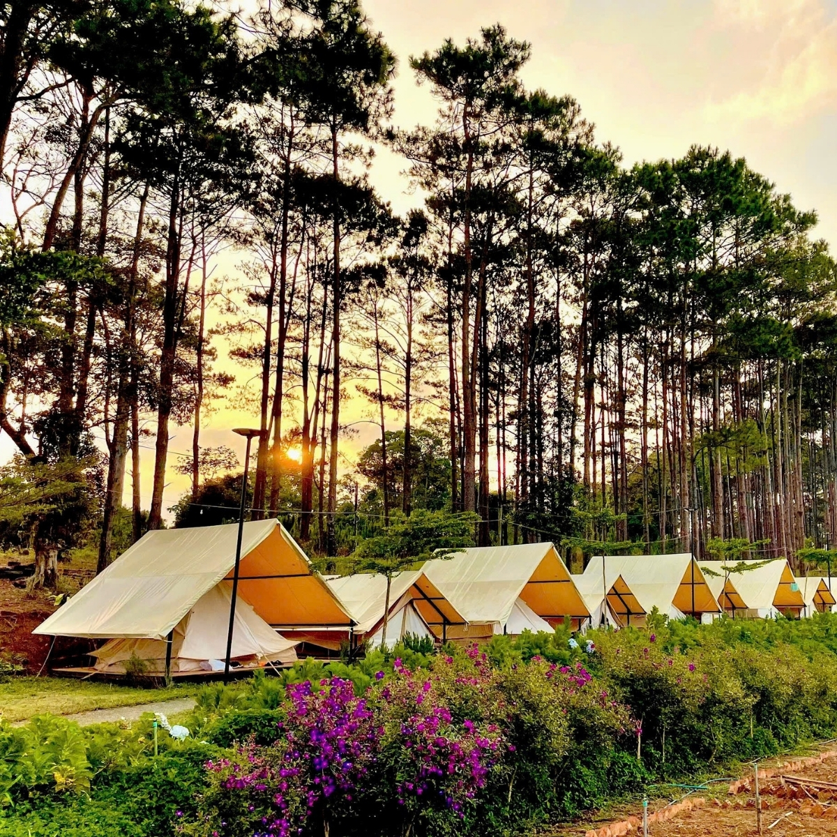 Tour Trekking B'lá, Bảo Lâm
